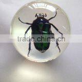 Professional Wholesale Inflatable Clear Plastic Ball With Human Ember Embedded thumbnail-2