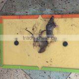 2016 Manufacture Hot Sale Mouse and Rat Glue Trap,sticky Mouse Trap , Rat Glue Boards thumbnail-3