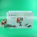 Wholesale Plastic Cheap Drawstring Gift Bag Plastic Handle Bag