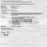 SGS Test Report