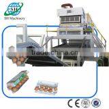 recycling waste paper from China factory paper making machine egg tray carton 7000 pcs/hour