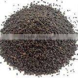 TUKMARIYA thumbnail-1