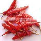 Indian Dry Red Chilli with Quality