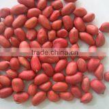 Red Skin Peanut Kernels