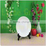 Ceramic Dinner Plates,side Plates and Bowls thumbnail-1