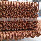 Green House Using Coolong Pad or Wet Curtain thumbnail-1