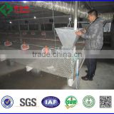 Chicken Broiler Equipments/ Poultry Automatic Feeding System/ Broiler Chicken Machine