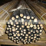 coated plastic bamboo poles
