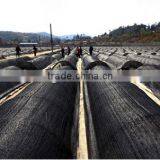 Sun Shade Netting thumbnail-6