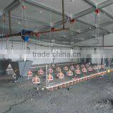 Big & Economic Light Prefab Steel Structure Chicken House thumbnail-1