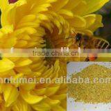 Pollen Wholesale Natural Sunflower Beepollen Factory thumbnail-1