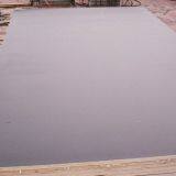 Film Faced Plywood thumbnail-4