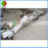 New Developed Vortex Air Bubble Ozone Fruit and Vegetable Washing Production Line thumbnail-6