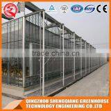 China Factory Direct Greenhouse With Wind Resistance Steel Frame thumbnail-3