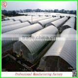 Double Layer High Tunnel Plastic Film Greenhouses for Flower/vegetable Growing thumbnail-1