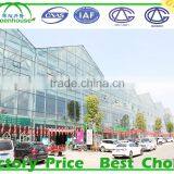 Commercial T Shape Glass Greenhouse Garden Used Sale thumbnail-4