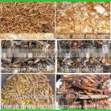 Stocked Bird Food Dried Mealworms;Yellow Dried Mealworms for Bird thumbnail-2