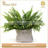 Washable Paper Pots,waterproof Kraft Paper Plant Bag thumbnail-4