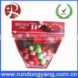 Printed Stand up Pouch Bag / Slider Zip Lock Fruit Bag for Grape thumbnail-1