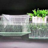 Sashimi Tray thumbnail-3