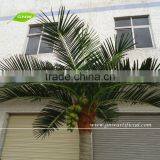 GNW APM013-1 GNW Artificial Palm Tree Plants Outdoor Garden Park Decoration thumbnail-4