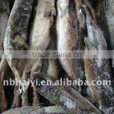 Frozen Obscure Puffer thumbnail-1