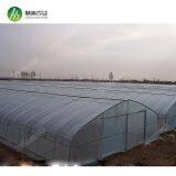 Top Quality China Manufacturer Single Span Polyethylene Film Greenhouses thumbnail-4