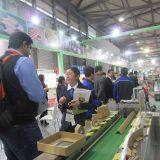 Paper Edgeboard Machines thumbnail-5