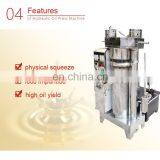 2019 New Type Cold Pressing Pinus Tomentosa Fruit Press Stainless Steel Hydraulic Press Sesame Oil Press thumbnail-5
