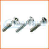 China Supplier Alloy Anti-theft Screw