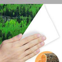 A4 Paper in 20ft Container a4 Paper 70 Gsm Rim in Pak 70g 75g thumbnail-1