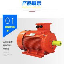 IE5 YE5-250M-4-55kW FOR FAN COMPRESS 400V/690V MOTOR thumbnail-2