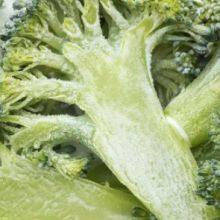 Freeze Dried Broccoli thumbnail-5