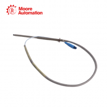 Bently Nevada 330910-10-22-10-01-CN thumbnail-4