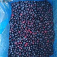 Different Varieties of High Quality IQF Frozen Blueberries thumbnail-2
