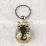 Promotional Real Black Scorpion Amber Wholesale Crystal Key Chain thumbnail-1