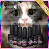 V.chlo Wholesale Gel Color Polish Soak off Cat Eye Gel Polish thumbnail-3