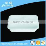 Plastic School Lunch Tray