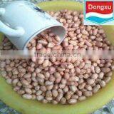 Peanut Kernels 40/50