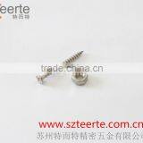 Lock Cashew Nut in Africa thumbnail-1