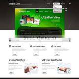 Cost Effective Web Design Services