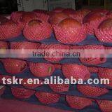 Fresh Fruits & Vegetables Red Apple thumbnail-1