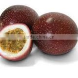 Organic Fresh Passion Fruit From Thailand