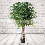 Artificial Indoor Ficus Tree thumbnail-5