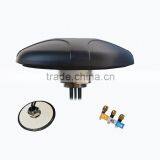 WIFI+GSM+LTE Combination Antenna thumbnail-2