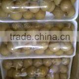 Longan Fruit- High Quality Best Price From Vietnam