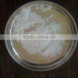 Native and Modified Tapioca Starch
