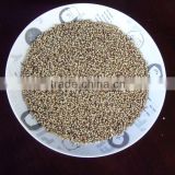 Hybrid Chinese Pennisetum Forage Seeds