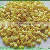 Hot Saled Dried Food FD Corn Powder thumbnail-5