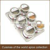 Cuisines of the World Gourmet Spice Blends-6 Magnetic Tins
